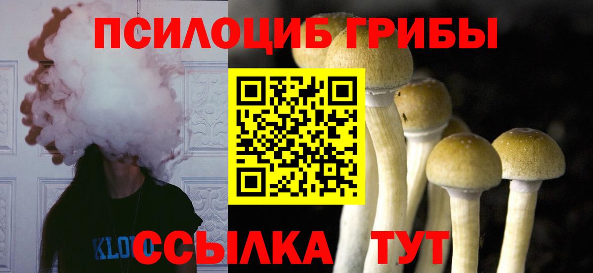 Галлюциногенные грибы Magic Shrooms Унеча